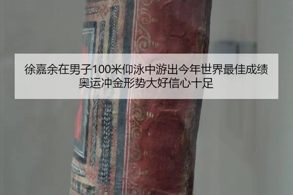 xu-jia-yu-zai-nan-zi-mi-yang-yong-zhong-you-chu-jin-nian-shi-jie-zui-jia-cheng-ji-ao-yun-chong-jin-xing-shi-da-hao-xin-2-717.jpg
